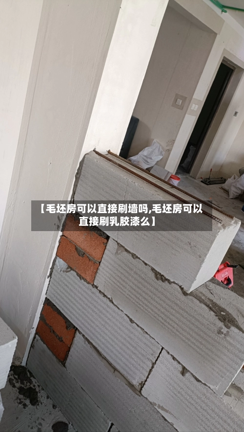 【毛坯房可以直接刷墙吗,毛坯房可以直接刷乳胶漆么】-第1张图片