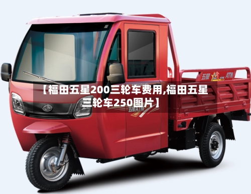 【福田五星200三轮车费用,福田五星三轮车250图片】-第1张图片