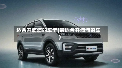适合开滴滴的车型(最适合开滴滴的车)-第1张图片