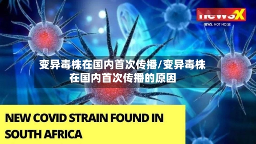 变异毒株在国内首次传播/变异毒株在国内首次传播的原因-第1张图片