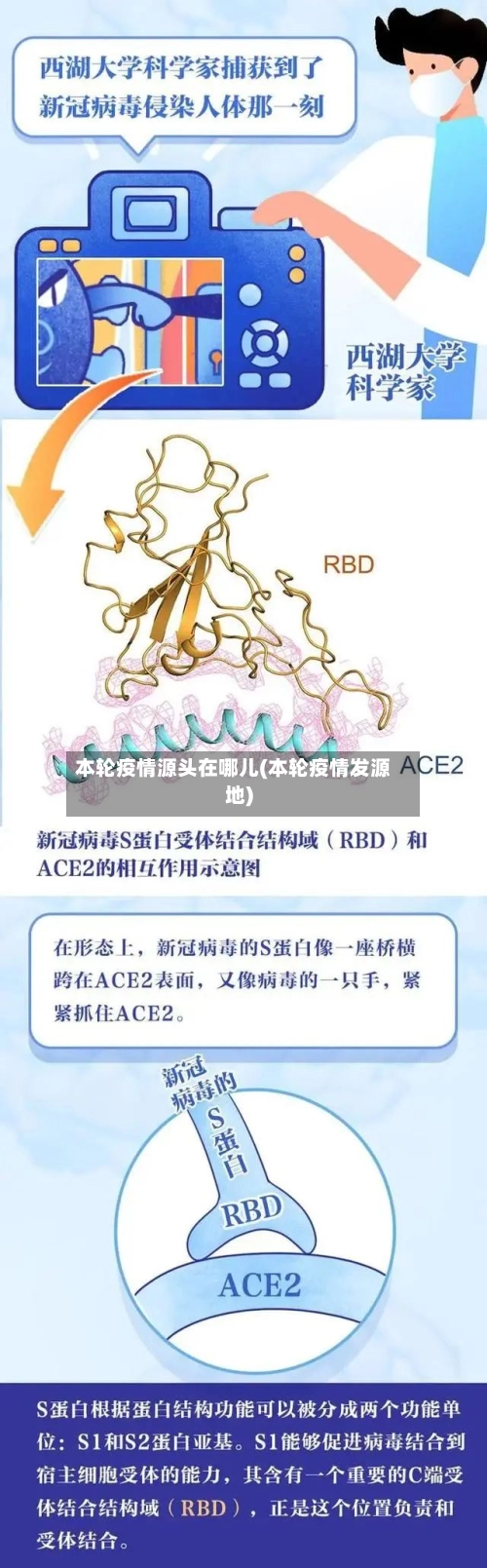 本轮疫情源头在哪儿(本轮疫情发源地)-第2张图片
