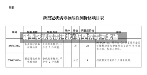 新型冠状病毒河北/新型病毒河北省-第1张图片