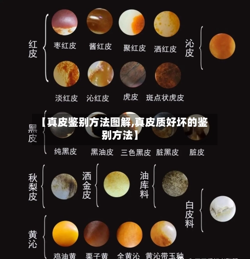 【真皮鉴别方法图解,真皮质好坏的鉴别方法】-第1张图片