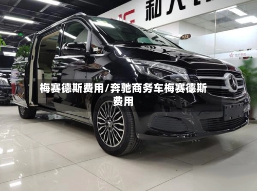 梅赛德斯费用/奔驰商务车梅赛德斯费用-第1张图片