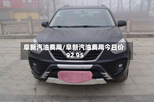 阜新汽油费用/阜新汽油费用今日价92 95-第2张图片