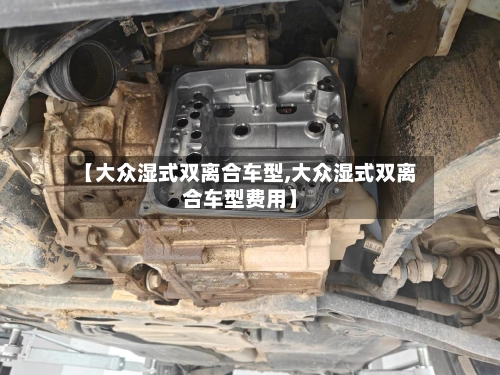 【大众湿式双离合车型,大众湿式双离合车型费用】-第1张图片