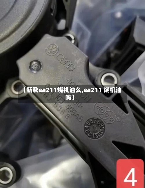 【新款ea211烧机油么,ea211 烧机油吗】-第1张图片