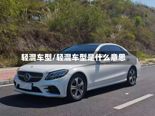轻混车型/轻混车型是什么意思-第1张图片