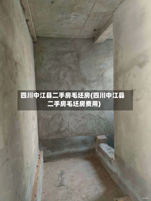 四川中江县二手房毛坯房(四川中江县二手房毛坯房费用)-第1张图片