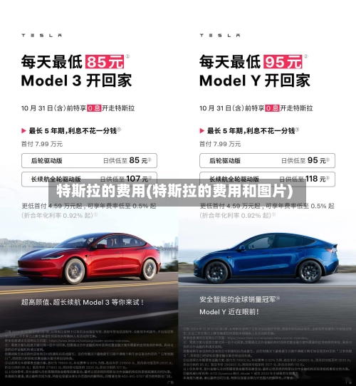 特斯拉的费用(特斯拉的费用和图片)-第1张图片