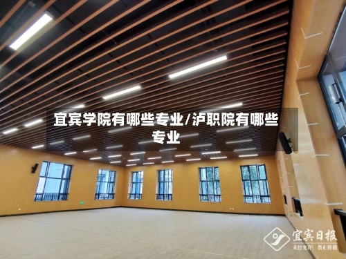 宜宾学院有哪些专业/泸职院有哪些专业-第1张图片