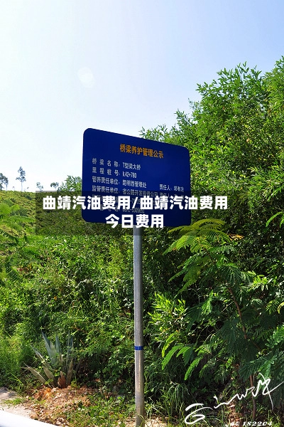 曲靖汽油费用/曲靖汽油费用今日费用-第2张图片