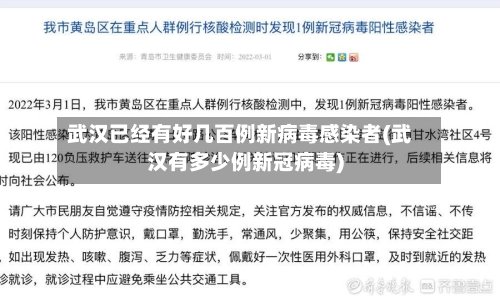 武汉已经有好几百例新病毒感染者(武汉有多少例新冠病毒)-第1张图片