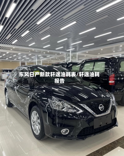 东风日产新款轩逸油耗表/轩逸油耗报告-第1张图片