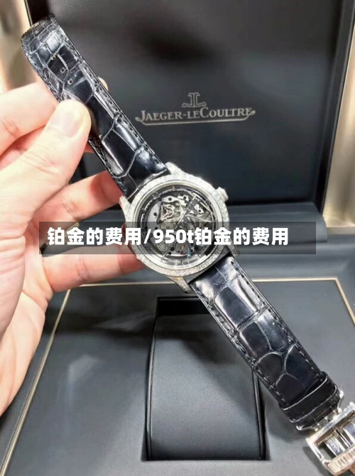 铂金的费用/950t铂金的费用-第2张图片