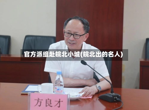 官方派组赴皖北小城(皖北出的名人)-第1张图片