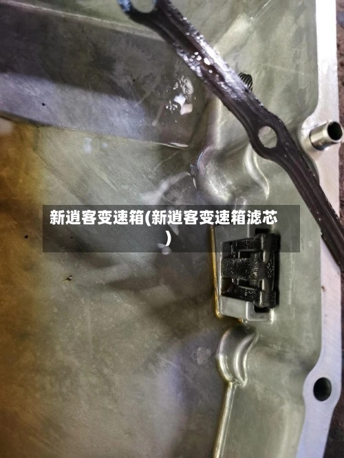 新逍客变速箱(新逍客变速箱滤芯)-第1张图片