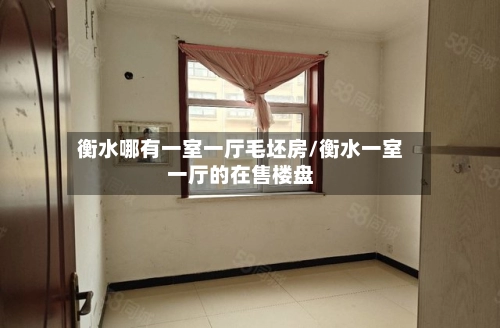 衡水哪有一室一厅毛坯房/衡水一室一厅的在售楼盘-第2张图片