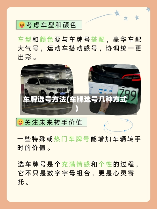 车牌选号方法(车牌选号几种方式)-第1张图片