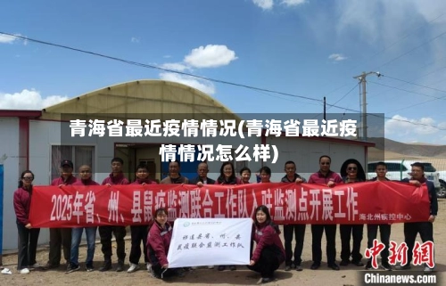 青海省最近疫情情况(青海省最近疫情情况怎么样)-第1张图片