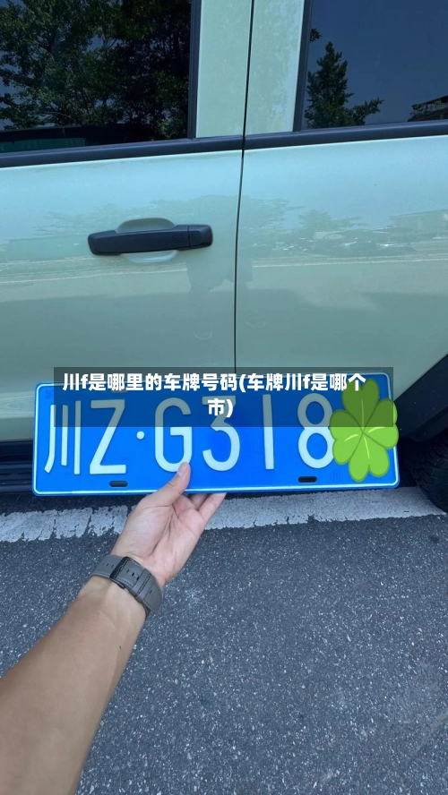 川f是哪里的车牌号码(车牌川f是哪个市)-第1张图片