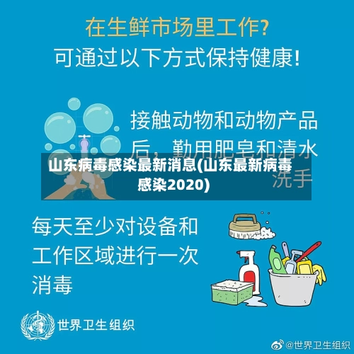 山东病毒感染最新消息(山东最新病毒感染2020)-第1张图片
