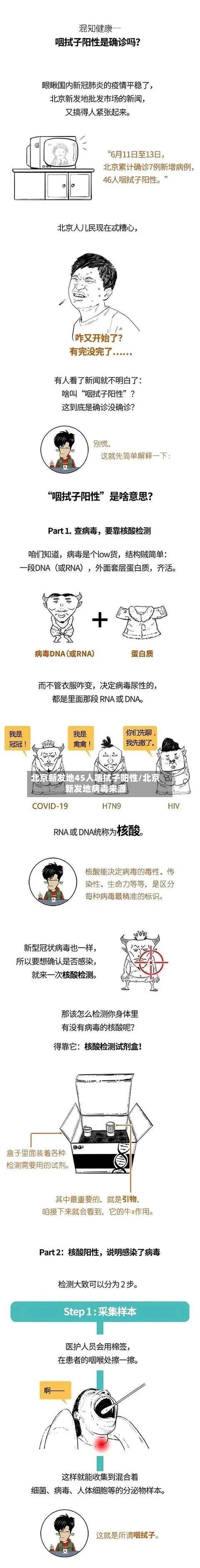 北京新发地45人咽拭子阳性/北京新发地病毒来源-第1张图片