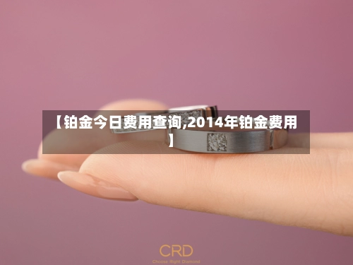 【铂金今日费用查询,2014年铂金费用】-第1张图片