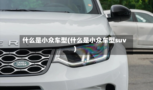 什么是小众车型(什么是小众车型suv)-第1张图片