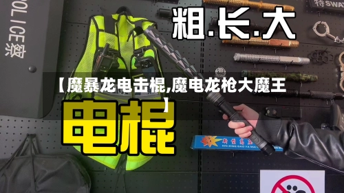 【魔暴龙电击棍,魔电龙枪大魔王】-第1张图片