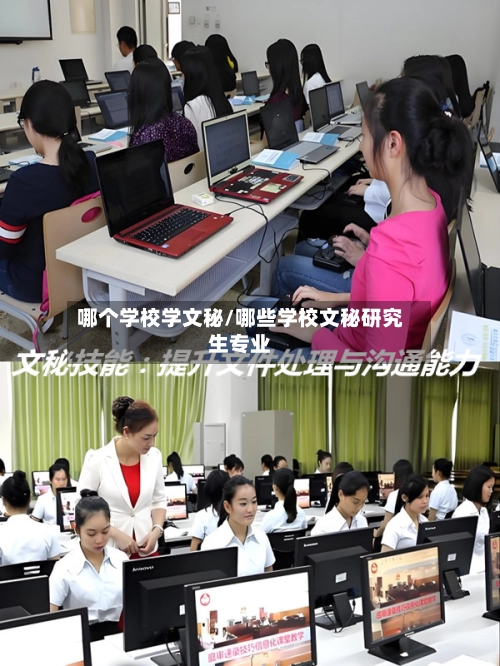 哪个学校学文秘/哪些学校文秘研究生专业-第1张图片