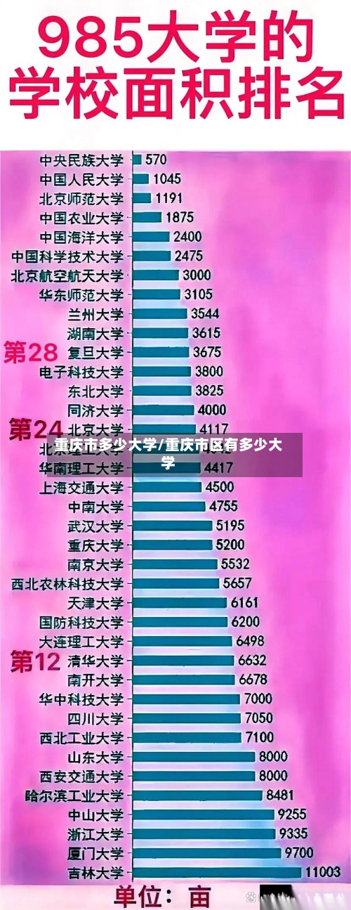 重庆市多少大学/重庆市区有多少大学-第1张图片