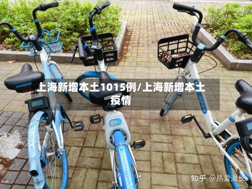 上海新增本土1015例/上海新增本土疫情-第3张图片
