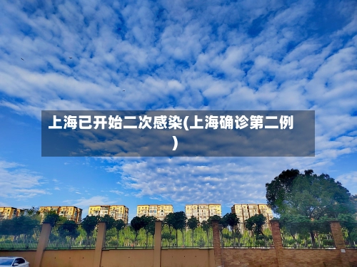 上海已开始二次感染(上海确诊第二例)-第3张图片