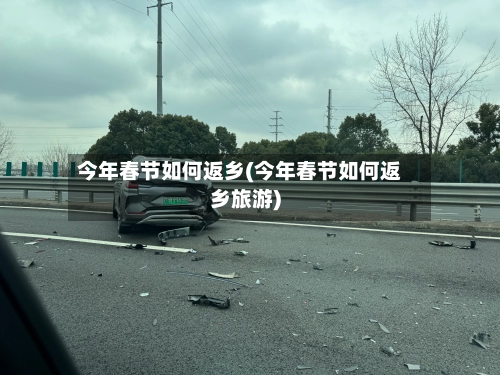 今年春节如何返乡(今年春节如何返乡旅游)-第1张图片