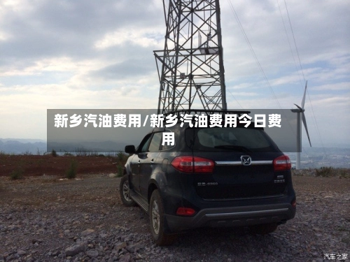 新乡汽油费用/新乡汽油费用今日费用-第1张图片