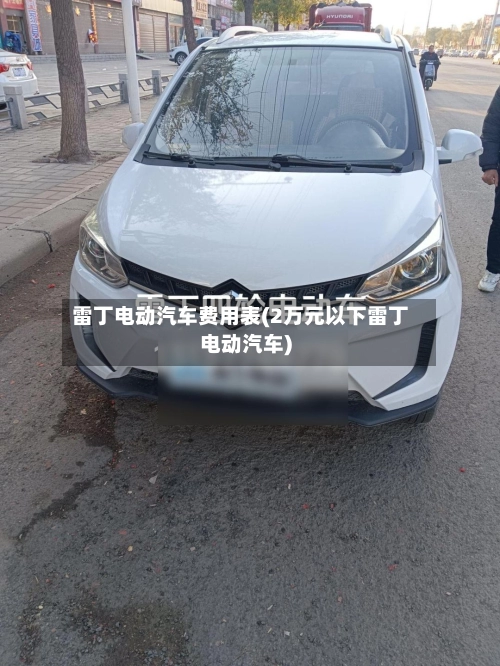 雷丁电动汽车费用表(2万元以下雷丁电动汽车)-第1张图片