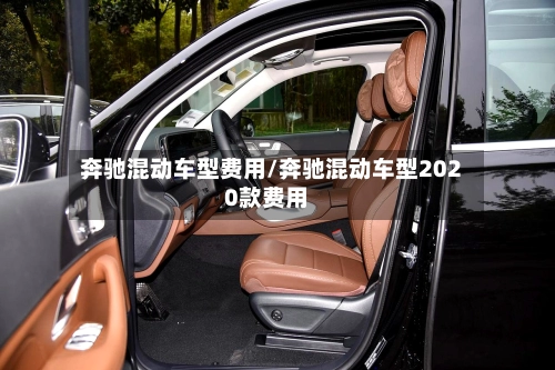 奔驰混动车型费用/奔驰混动车型2020款费用-第3张图片