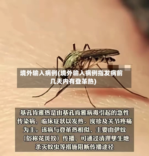 境外输入病例(境外输入病例指发病前几天内有登革热)-第1张图片