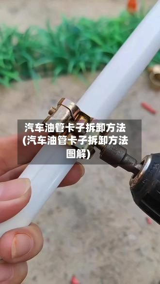 汽车油管卡子拆卸方法(汽车油管卡子拆卸方法图解)-第2张图片