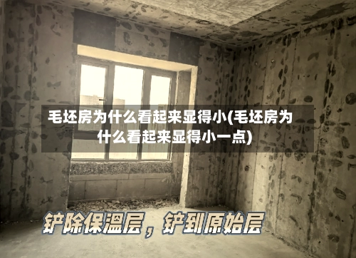 毛坯房为什么看起来显得小(毛坯房为什么看起来显得小一点)-第1张图片
