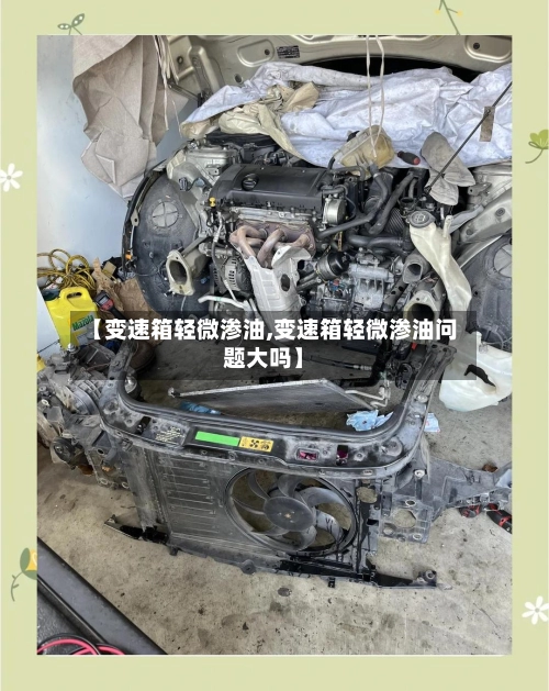【变速箱轻微渗油,变速箱轻微渗油问题大吗】-第1张图片