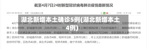 湖北新增本土确诊5例(湖北新增本土4例)-第1张图片