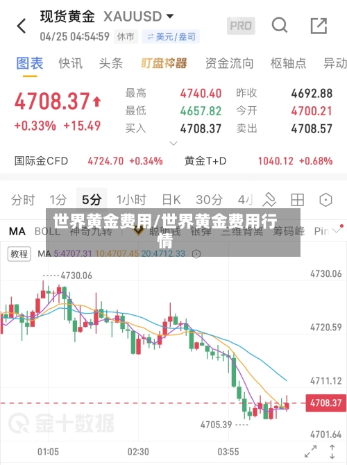 世界黄金费用/世界黄金费用行情-第3张图片