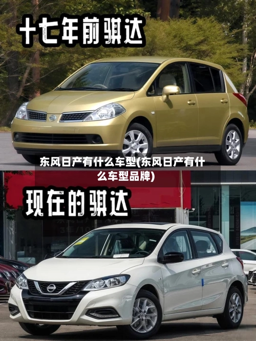 东风日产有什么车型(东风日产有什么车型品牌)-第1张图片