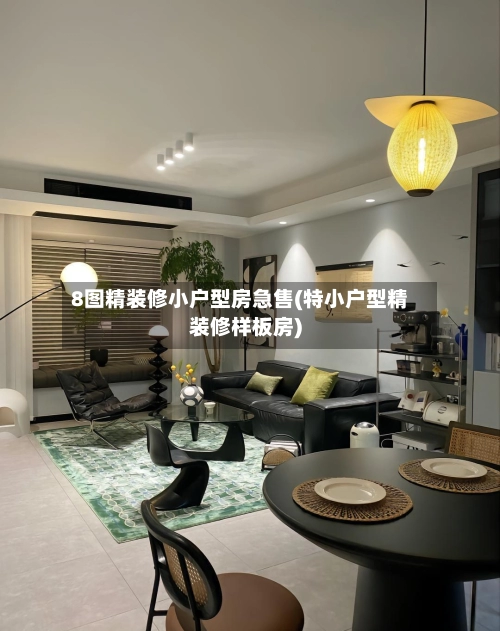 8图精装修小户型房急售(特小户型精装修样板房)-第2张图片