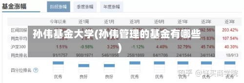 孙伟基金大学(孙伟管理的基金有哪些)-第2张图片