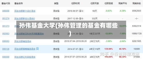 孙伟基金大学(孙伟管理的基金有哪些)-第1张图片