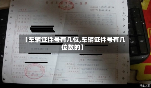 【车辆证件号有几位,车辆证件号有几位数的】-第1张图片