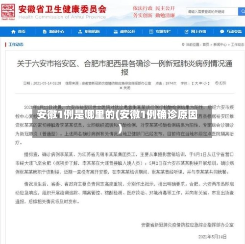 安徽1例是哪里的(安徽1例确诊原因)-第1张图片